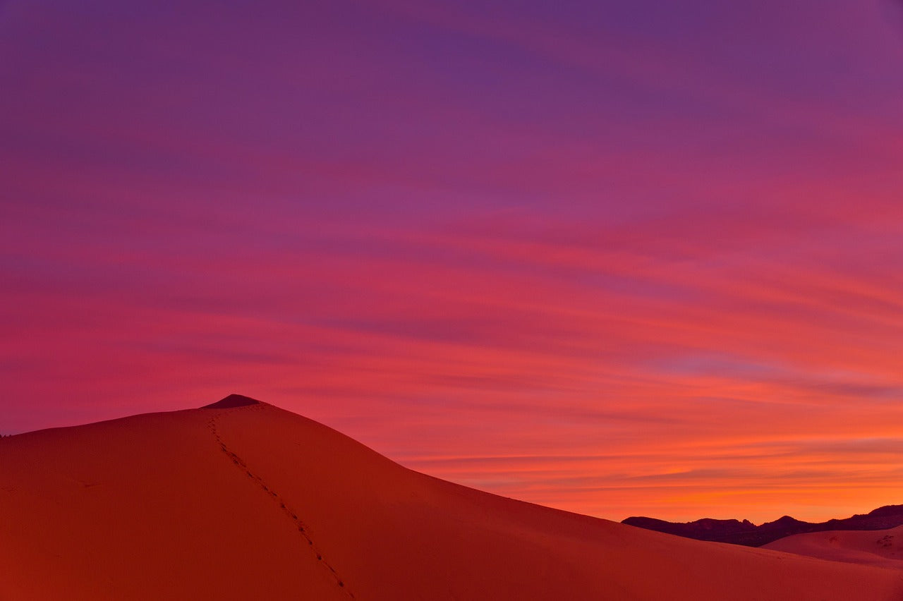 Momentum & Discipline